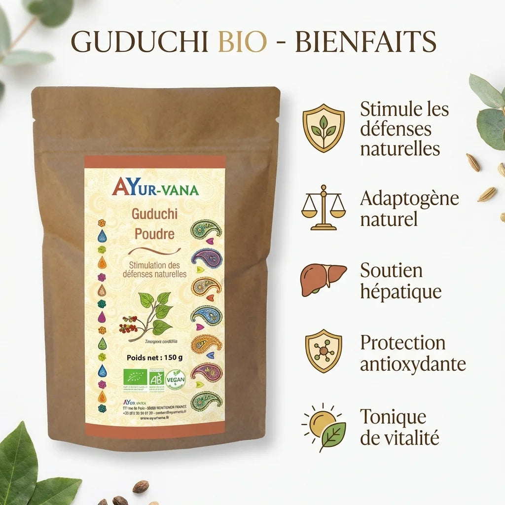 Guduchi Bio poudre 150g AyurVana avec bénéfices : défenses naturelles, adaptogène, hépatique, antioxydant