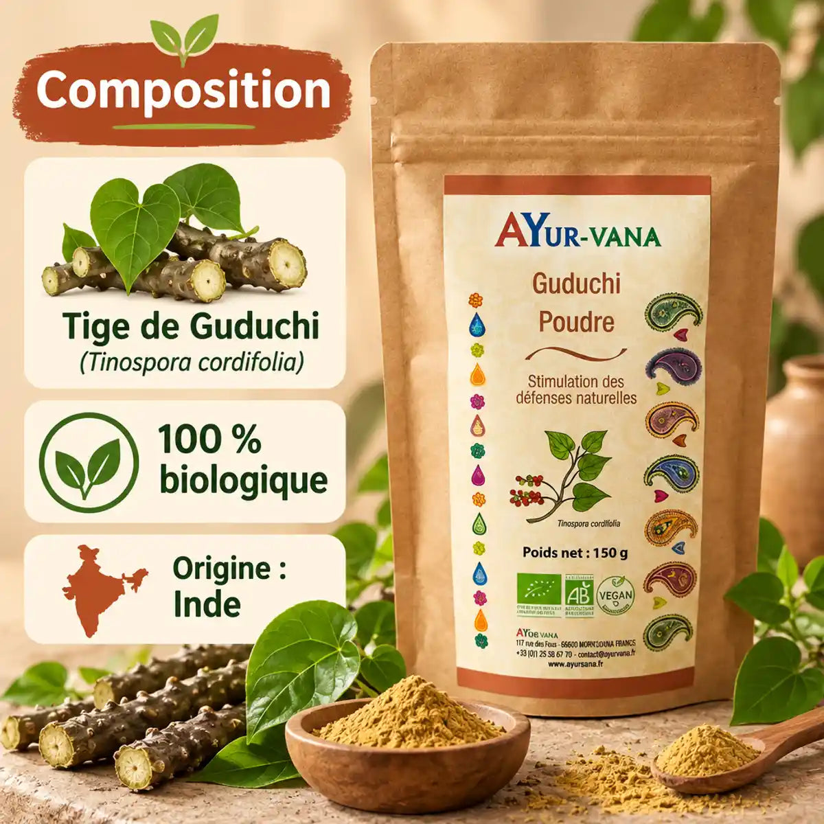 Guduchi en poudre AyurVana 150g : sachet kraft, tiges fraîches, feuilles vertes et cuillère de poudre dorée sur fond beige