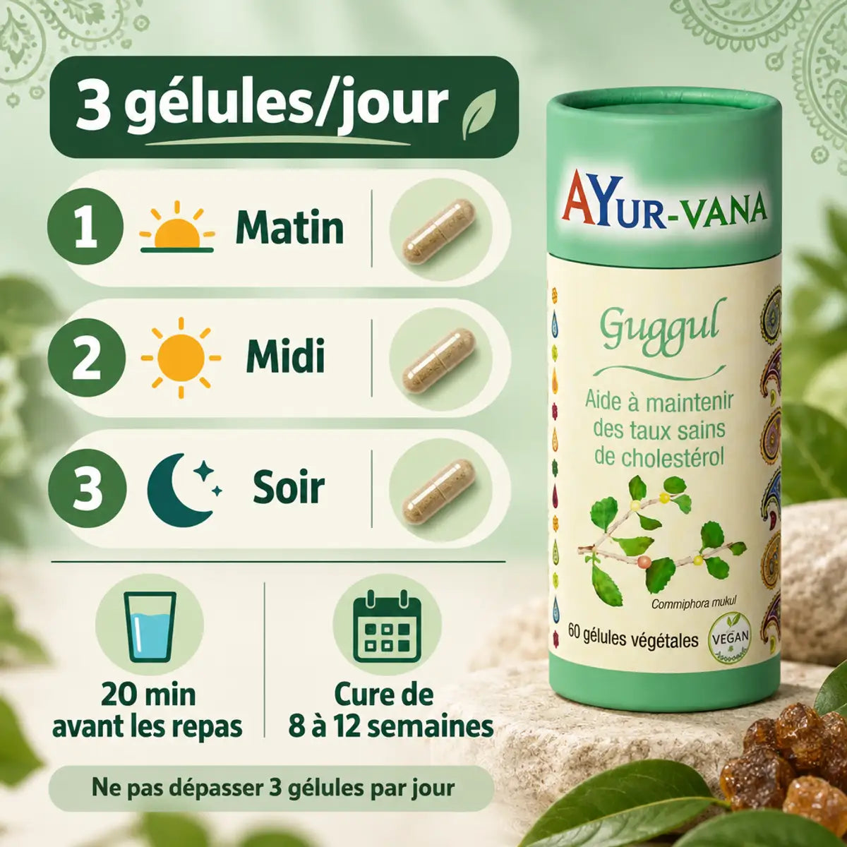 Guggul Ayur-Vana 60 gélules : guide d'utilisation en 3 prises par jour (matin, midi, soir) pour réguler le cholestérol