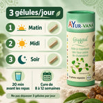 Guggul Ayur-Vana 60 gélules : guide d'utilisation en 3 prises par jour (matin, midi, soir) pour réguler le cholestérol