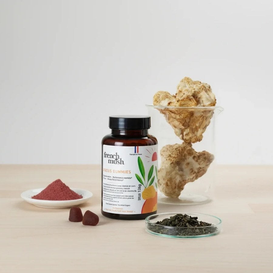 Focus gummies de la marque French Mush au Lion’s Mane posés sur une table
