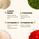 Les ingrédients et leurs bienfaits des gummies FOCUS au Lion’s Mane de French Mush