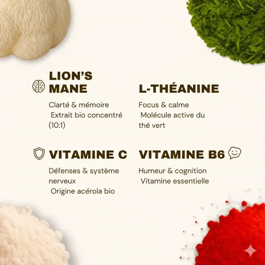 Les ingrédients et leurs bienfaits des gummies FOCUS au Lion’s Mane de French Mush
