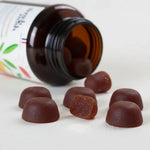 Gummies FOCUS au Lion’s Mane de French Mush renversés sur une table