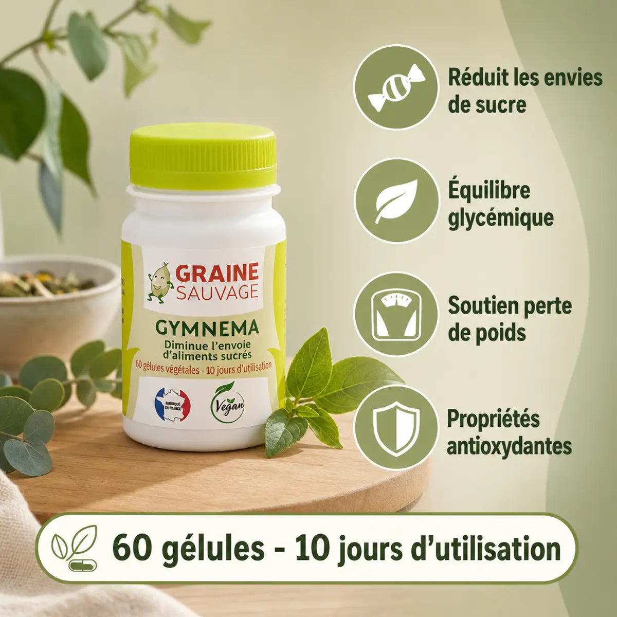 Gymnema 60 gélules Graine Sauvage - Supplément pour équilibre glycémique et réduction envies sucre
