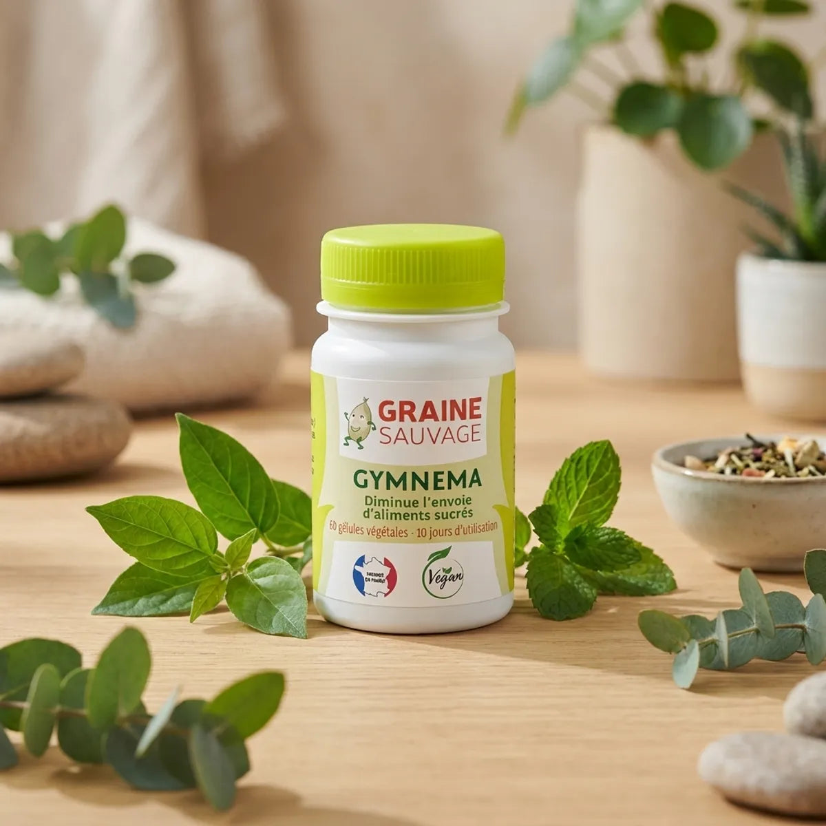 Gymnema 60 gélules Graine Sauvage avec feuilles vertes et ambiance wellness naturelle