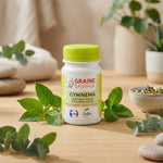 Gymnema 60 gélules Graine Sauvage avec feuilles vertes et ambiance wellness naturelle