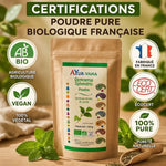 Gymnema Sylvestris poudre bio 150g Ayur-vana avec certifications AB, vegan et fabrication française
