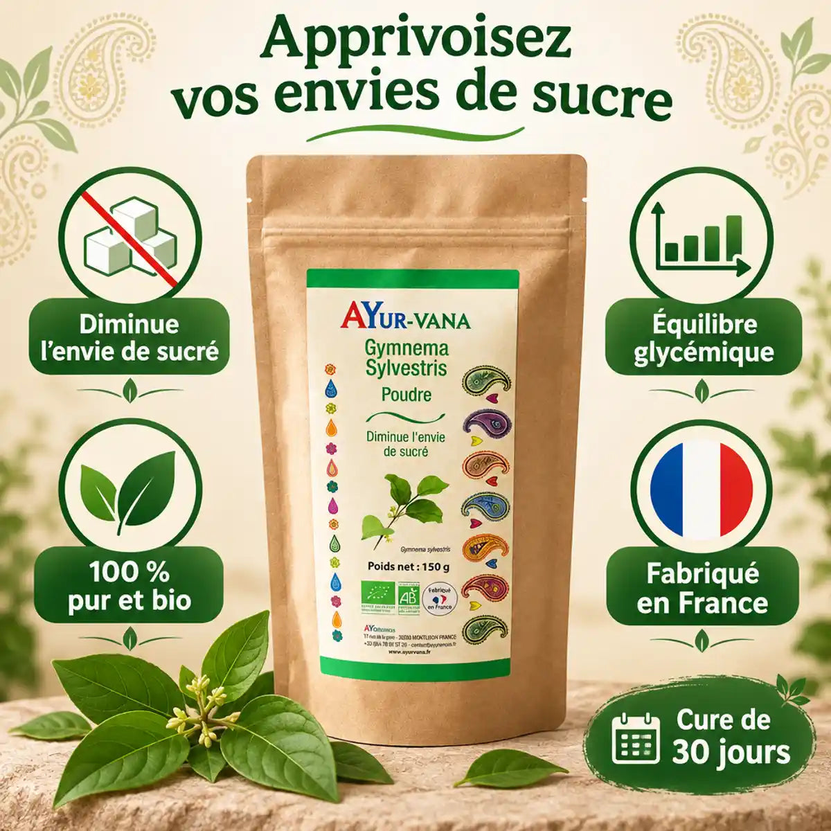 Sachet Ayur-vana de Gymnema Sylvestre en poudre bio, feuilles fraîches et icônes bienfaits sur fond crème