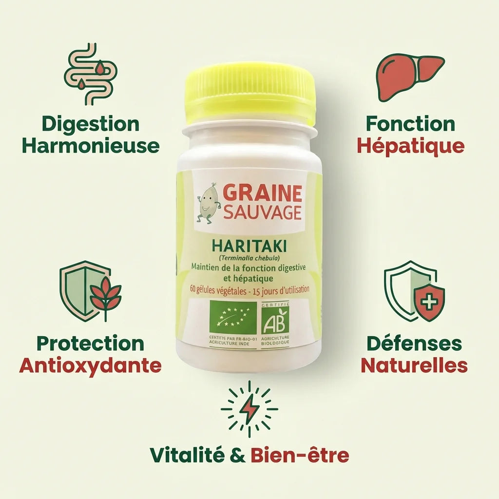 Haritaki bio 60 gélules Graine Sauvage avec bénéfices: digestion, foie, antioxydants, défenses, vitalité