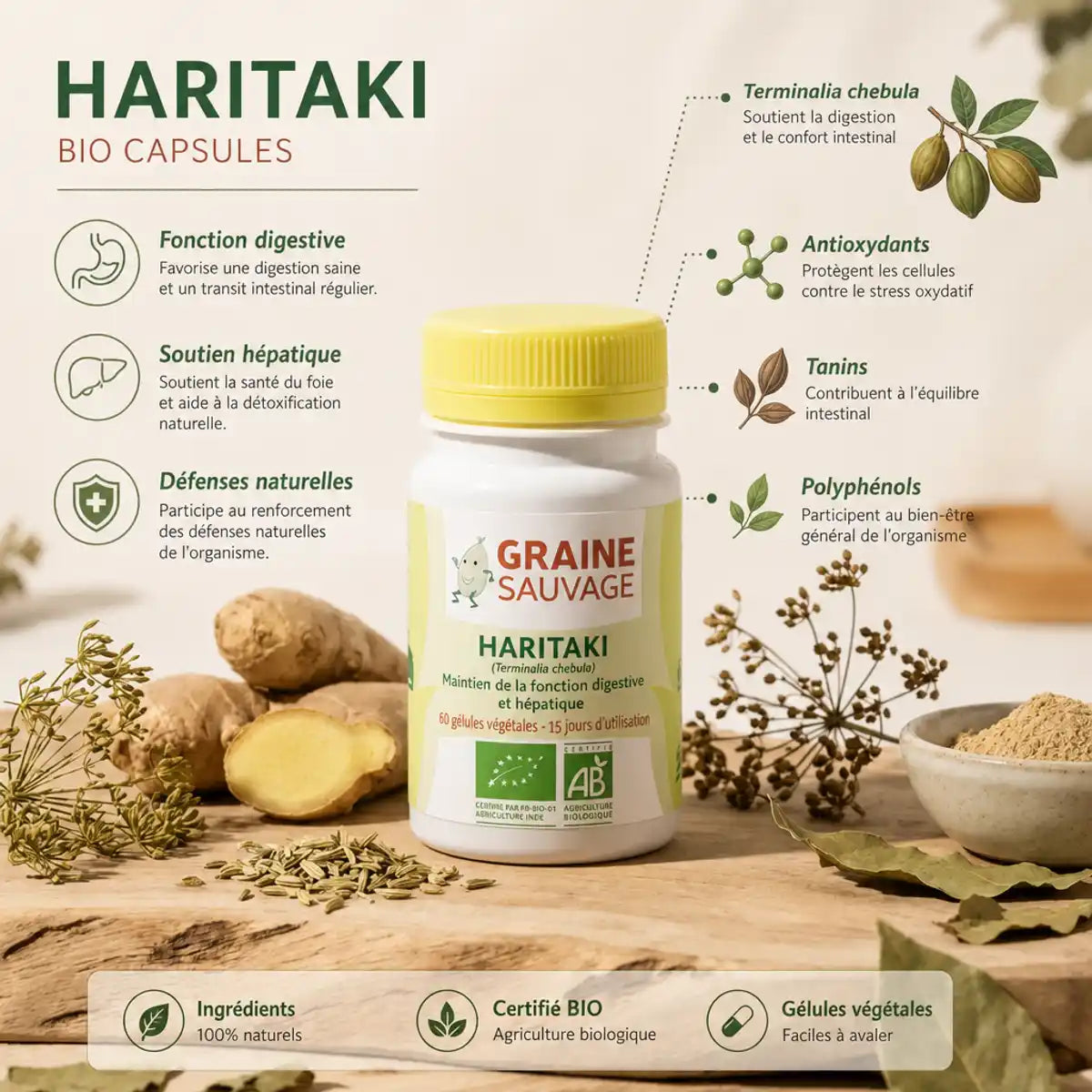 Haritaki bio 60 gélules Graine Sauvage avec ingrédients naturels et bénéfices digestifs