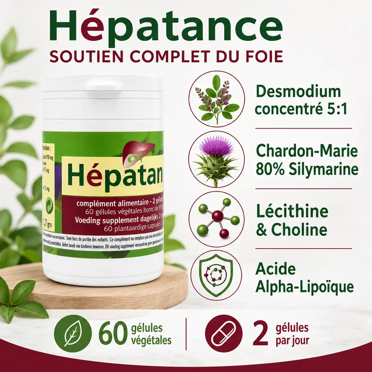 Hépatance foie 60 gélules - composition Desmodium Chardon-Marie Lécithine Acide Alpha-Lipoïque