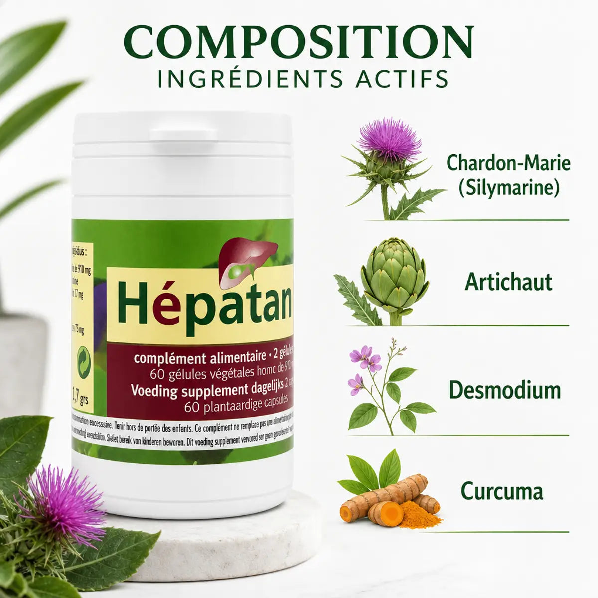 Hépatance complément foie 60 gélules avec ingrédients actifs Chardon-Marie Artichaut Desmodium Curcuma
