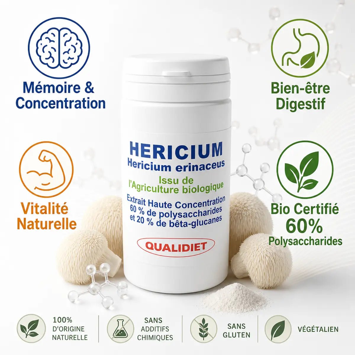 Héricium bio 500mg Qualidiet 60 gélules avec bénéfices mémoire, digestion et vitalité naturelle