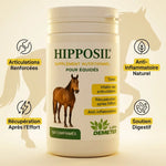 HIPPOSIL complément équin arthrose - 150 comprimés articulations, tendons, anti-inflammatoire naturel