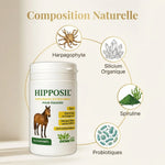 Hipposil complément arthrose cheval - bouteille avec composition naturelle silicium harpagophyte spiruline probiotiques