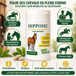 Hipposil comprimés arthrose cheval - articulations tendons anti-inflammatoire Labo Demeter