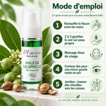 Flacon pompe 30 ml d'Huile de Calophylle Bio AyurVana avec mode d'emploi en 5 étapes et feuilles de calophyllum