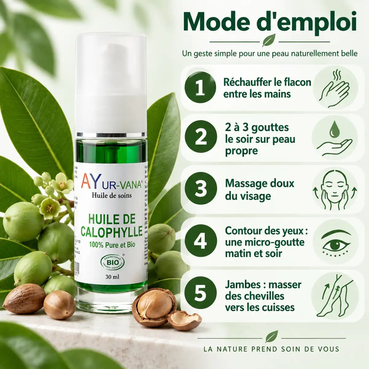 Flacon pompe 30 ml d'Huile de Calophylle Bio AyurVana avec mode d'emploi en 5 étapes et feuilles de calophyllum