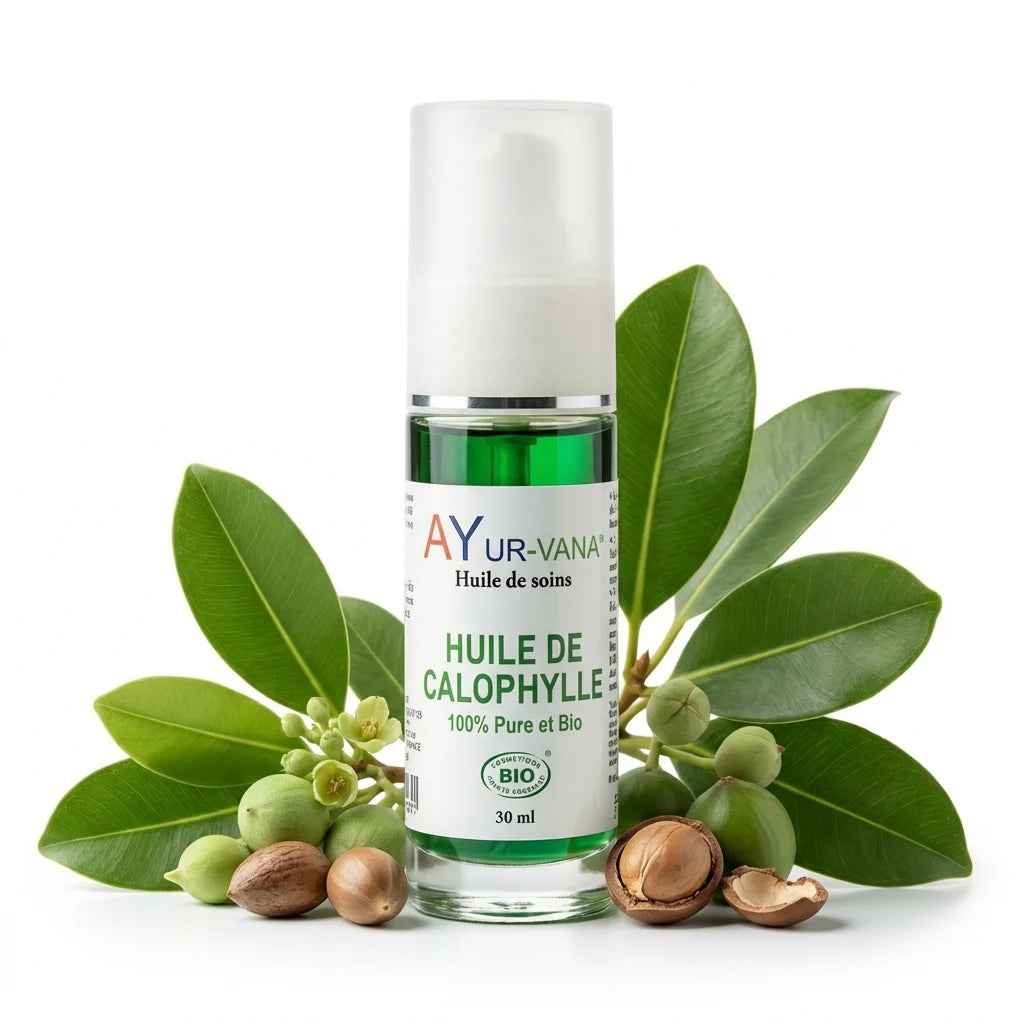 Huile de Calophylle Bio AyurVana 30ml avec feuilles et graines botaniques