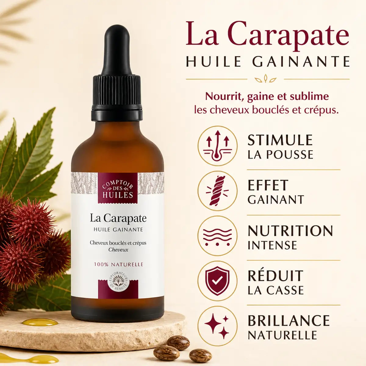 Huile de Ricin Noir Bio Carapate 50ml - Flacon avec infographie des bénéfits gainants et fortifiants