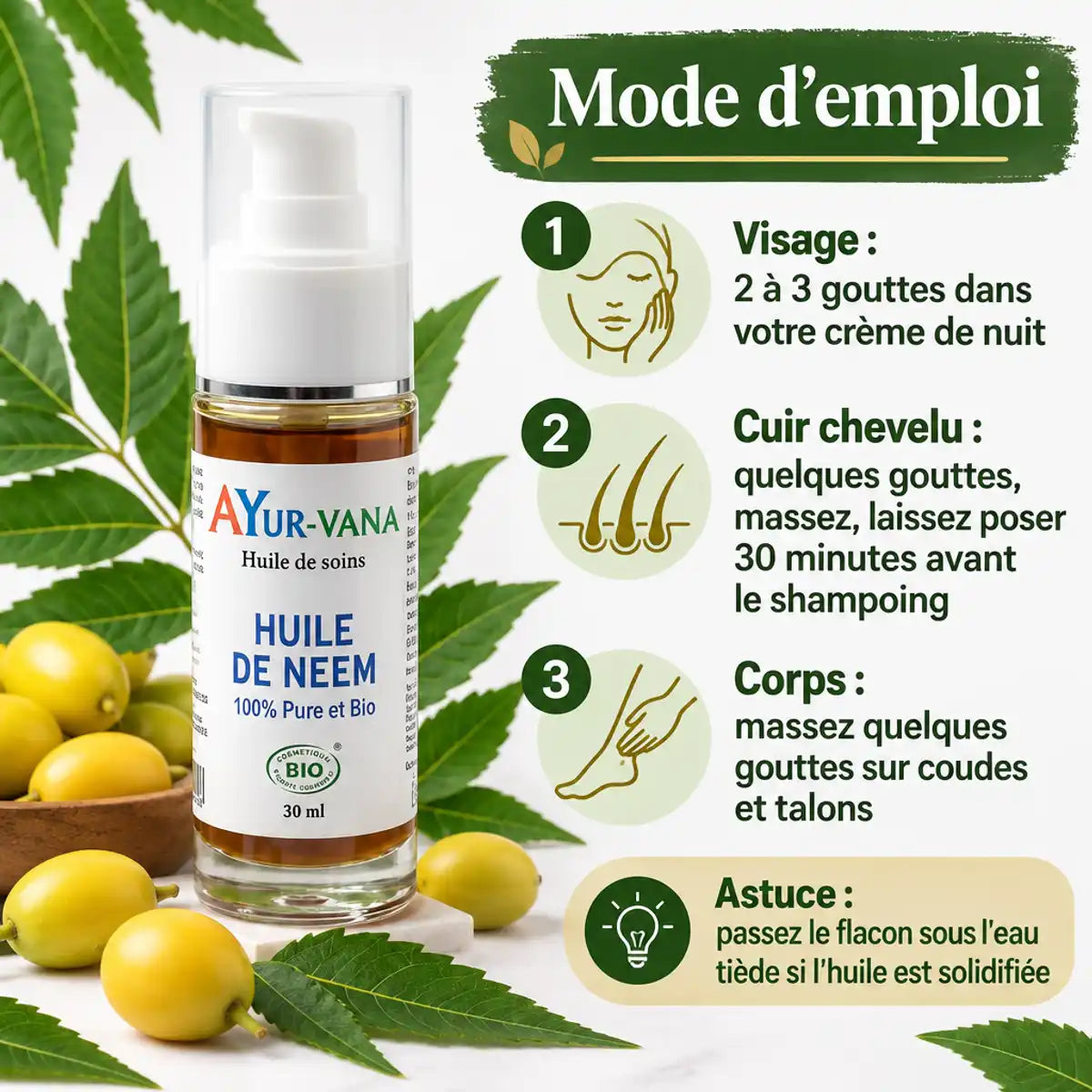 Flacon d'huile de Neem bio AyurVana 30 ml avec feuilles et fruits de neem, et mode d'emploi en étapes pour le visage, le cuir chevelu et le corps.