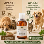 Huile de Paraffine Phyto'Lab 250ml avant/après constipation chien chat soulagement transit
