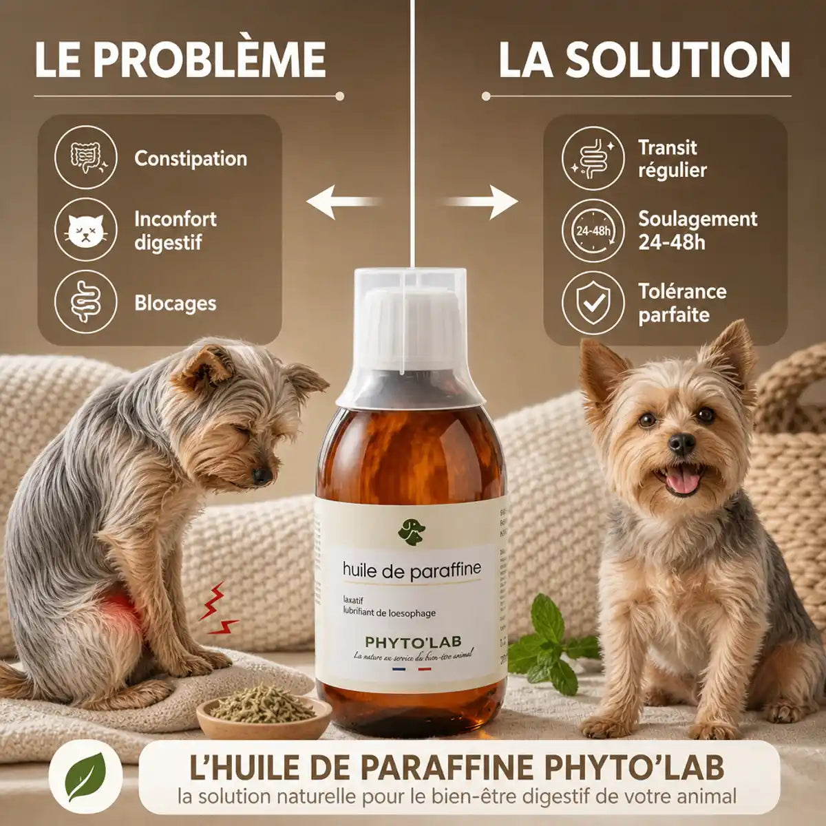 Huile de Paraffine 250ml Phyto'Lab : solution constipation chien chat avant-après