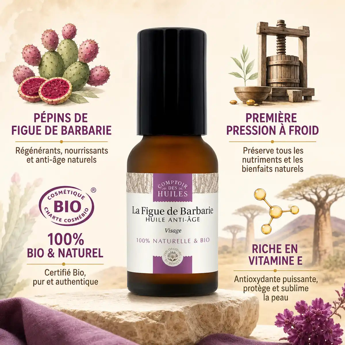 Huile pépins figue de barbarie bio roll-on anti-âge 15ml Comptoir des Huiles avec infographie ingrédients