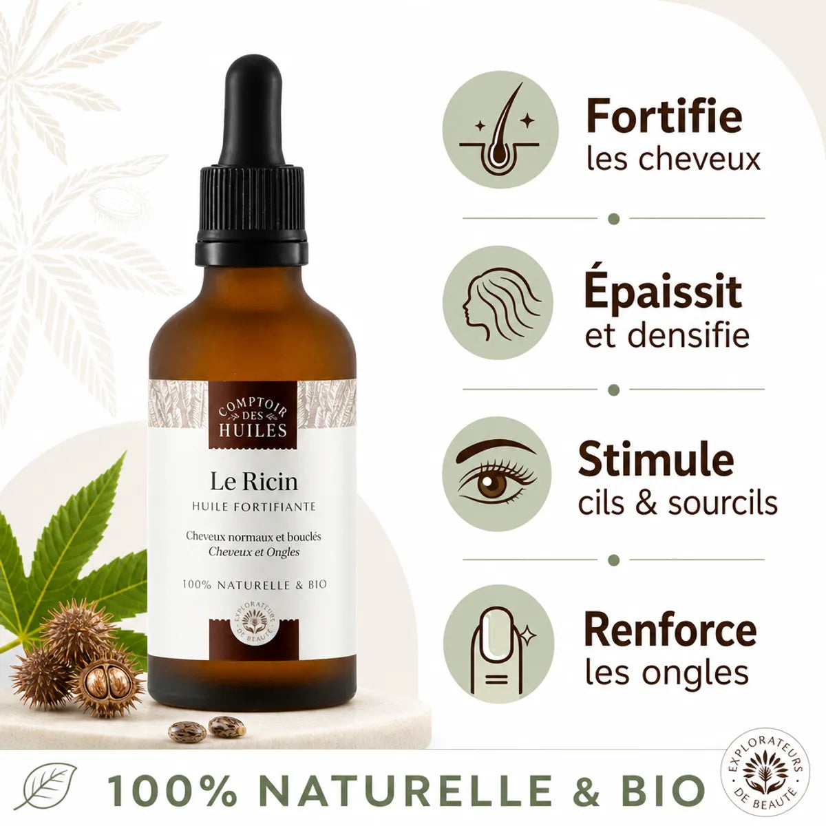 Huile de Ricin Bio 50ml Comptoir des Huiles avec bénéfices cheveux, cils, ongles