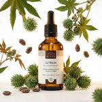Huile de Ricin Bio 50ml Comptoir des Huiles avec graines et ingrédients naturels