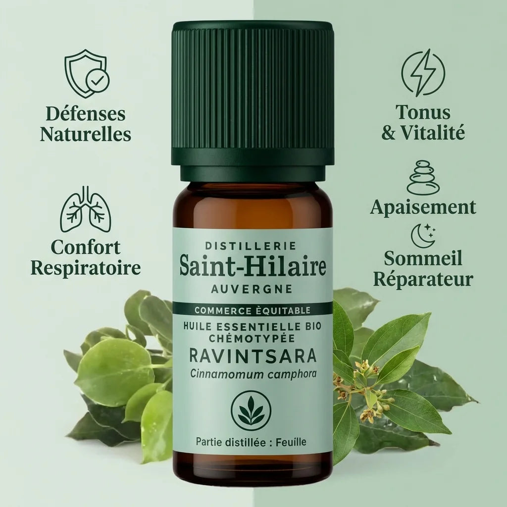 Huile essentielle bio Ravintsara 10ml Saint-Hilaire avec feuilles, bénéfices wellness et infographie santé naturelle