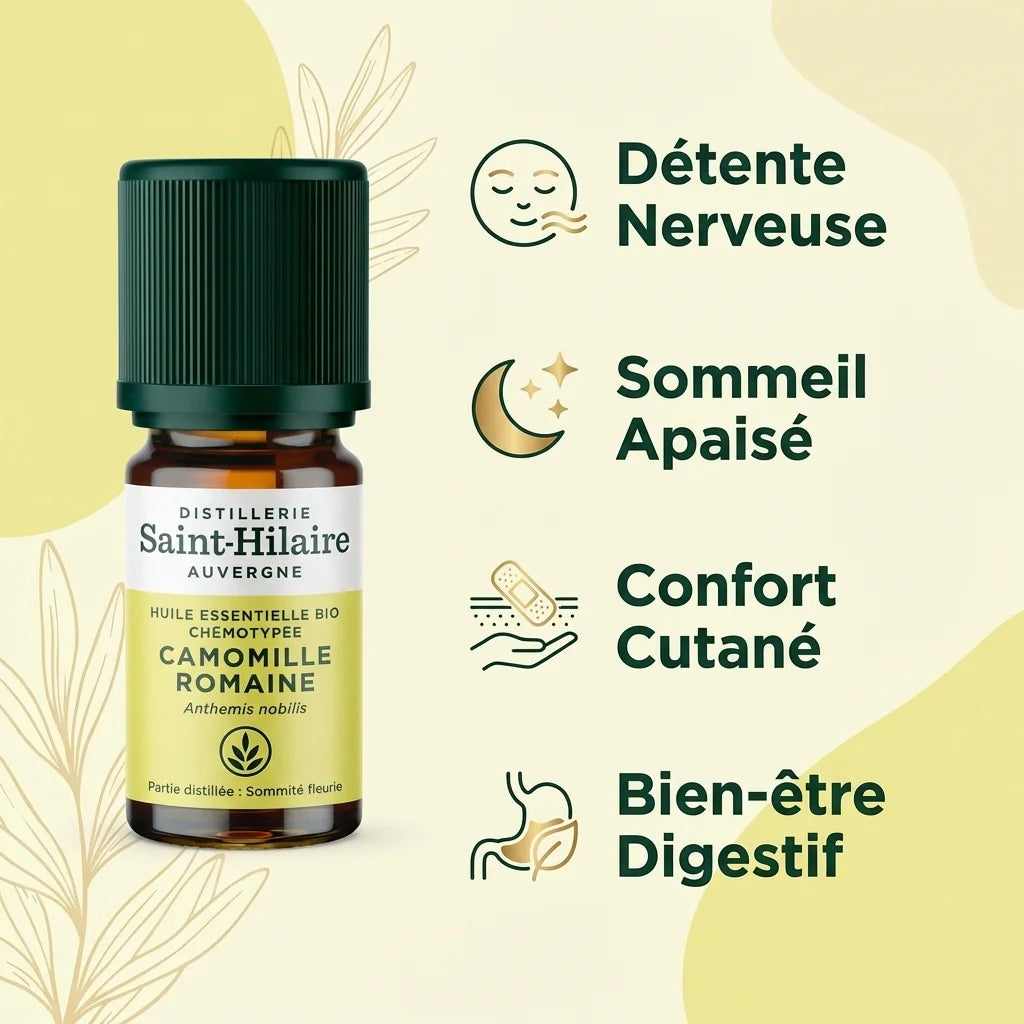 Huile essentielle camomille romaine bio Saint-Hilaire 5ml avec bénéfices détente, sommeil et bien-être digestif