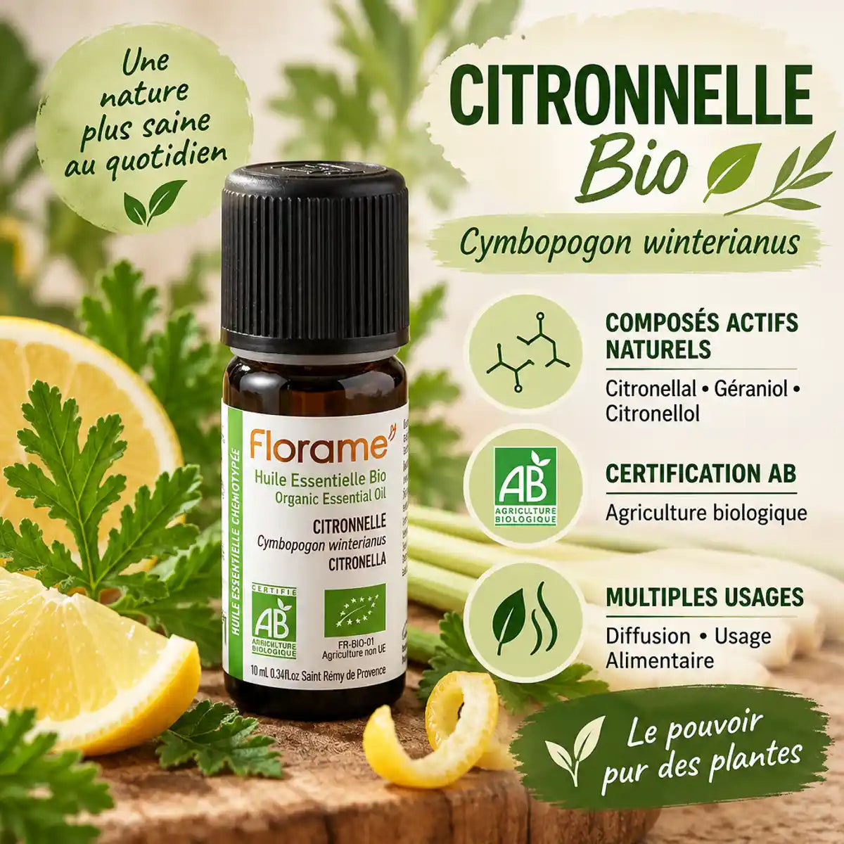 Flacon huile essentielle citronnelle bio Florame 10ml avec ingrédients naturels et informations botaniques
