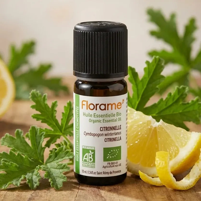 Huile essentielle citronnelle bio Florame 10ml flacon verre avec feuilles fraîches