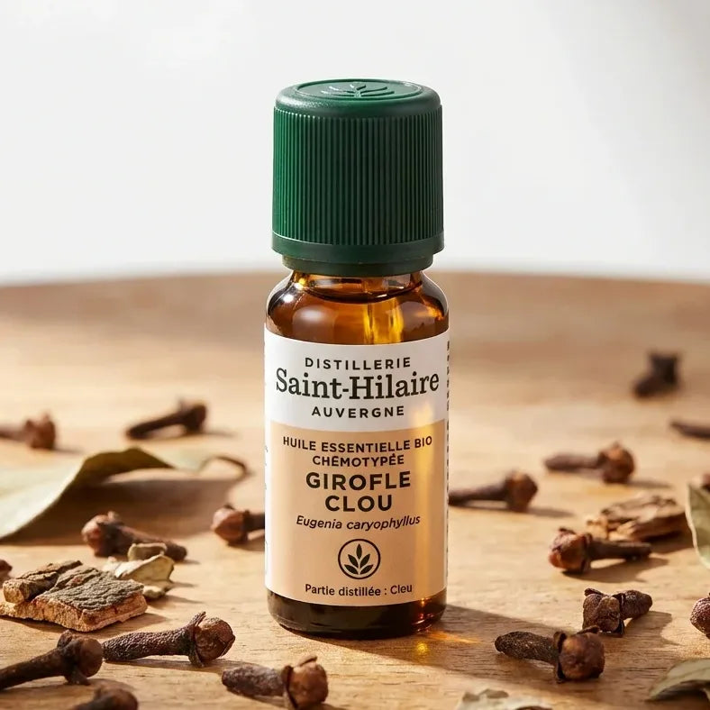 Huile essentielle de clou de girofle bio Saint-Hilaire 10ml avec clous de girofle