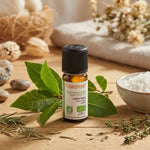 Huile essentielle Laurier noble bio Florame 5ml avec feuilles fraîches et éléments naturels