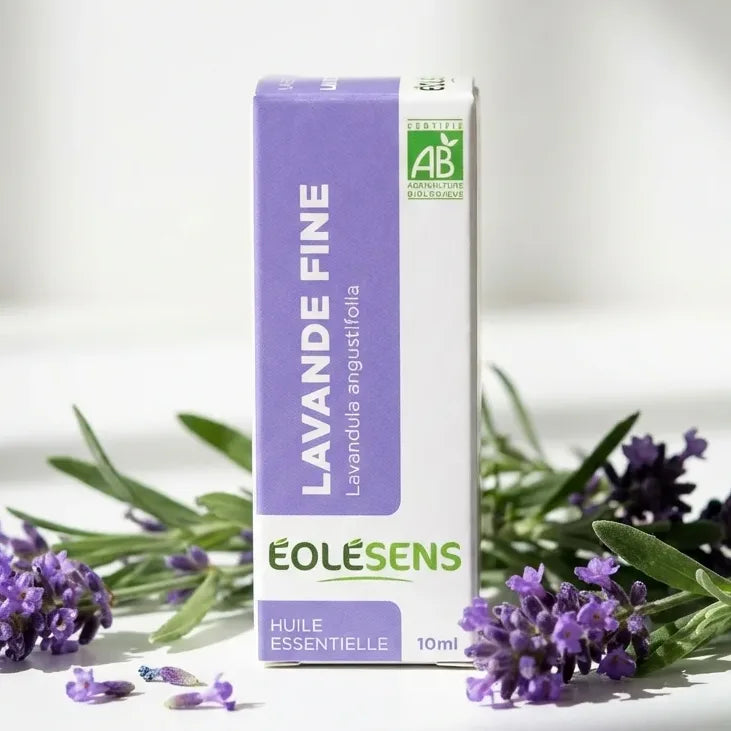 Huile essentielle de Lavande Fine bio Eolesens 10ml avec fleurs de lavande fraîches