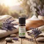 Huile essentielle Lavandin Grosso bio Florame 10ml avec lavande séchée sur bois naturel