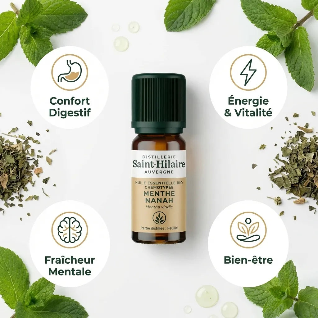 Huile essentielle menthe Nanah bio Saint-Hilaire 10ml avec feuilles menthe fraîche et bénéfices digestifs