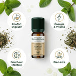 Huile essentielle menthe Nanah bio Saint-Hilaire 10ml avec feuilles menthe fraîche et bénéfices digestifs