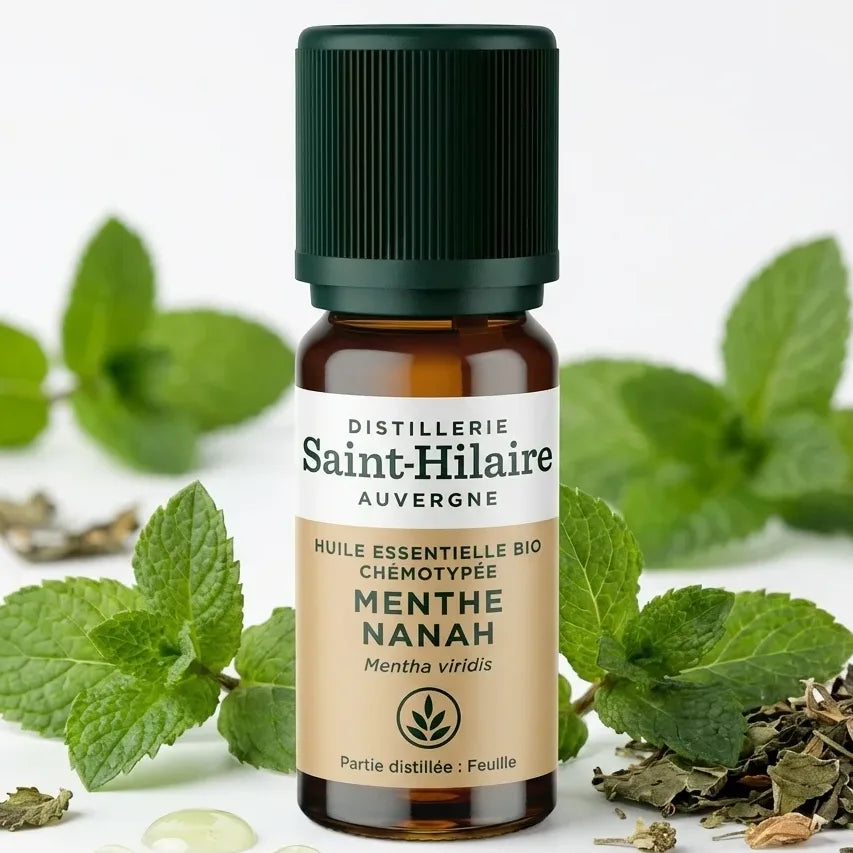 Huile essentielle menthe Nanah bio 10ml Saint-Hilaire avec feuilles fraîches