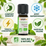 Huile essentielle menthe poivrée bio Florame 10ml avec bénéfices digestif et rafraîchissant