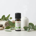 Huile essentielle de Niaouli Bio Florame 10ml avec feuilles d'eucalyptus frais