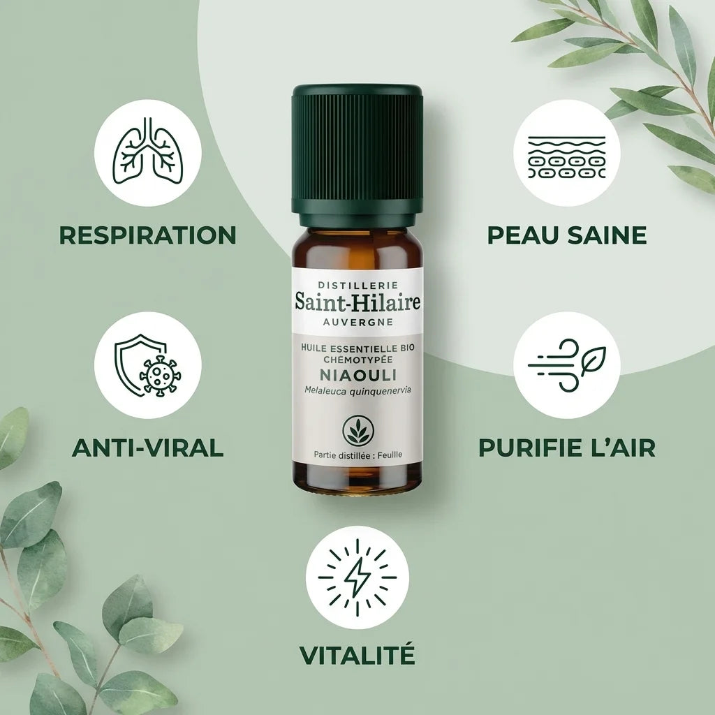 Niaouli BIO Saint Hilaire 10ml avec icônes bénéfices : respiration, antiviral, peau, air pur, vitalité