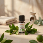 Huile essentielle Petit Grain Bigarade bio Florame 10ml avec feuilles d'oranger amer