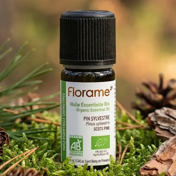 Huile essentielle de pin sylvestre Bio Florame 10ml sur mousse forestière avec aiguilles de pin