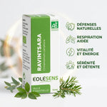 Huile essentielle Ravintsara Bio 10ml Eolesens avec bénéfices naturels et respiration