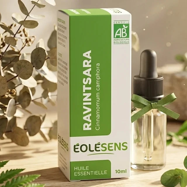 Huile essentielle Ravintsara Bio 10ml Eolesens avec branches d'eucalyptus séchées