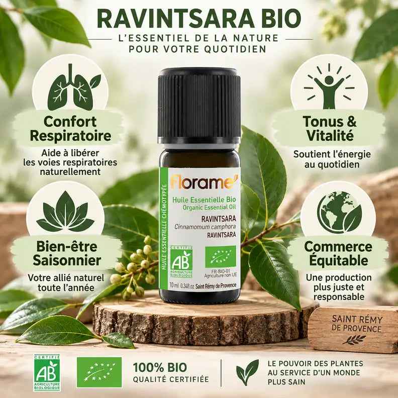 Huile essentielle Ravintsara bio Florame 10ml avec bénéfices respiratoires et vitalité